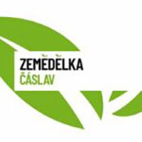 SK Čáslav